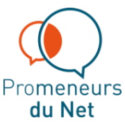 Promeneur du Net - CVIFS Pôle insertion - Toulouse