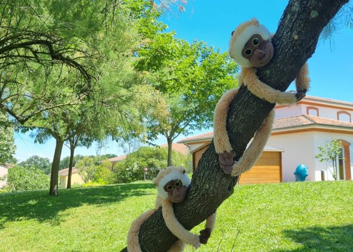 Maison de l'Enfance et de la Famille - Saint-Jean Laep